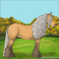 Horse Color:Silver Buckskin 