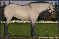 Horse Color:Brown Roan Dun 