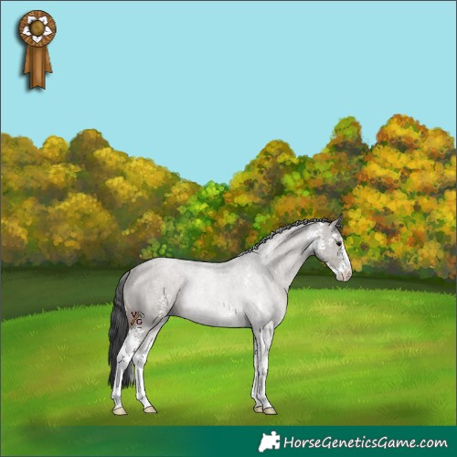 Horse Color:Grullo Roan Sabino Rabicano
