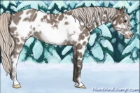 Horse Color:Silver Blue Roan Sabino Frame Near Leopard 
