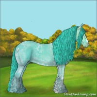 Horse Color:Watercolor Black Ice Sabino 