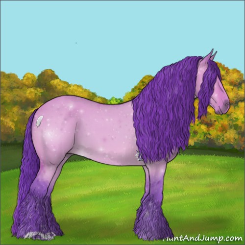 Horse Color:Watercolor Bay Dun 