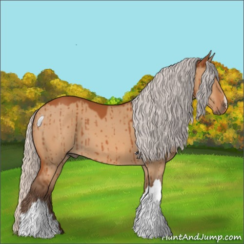 Horse Color:Silver Bay Dun Brindle 