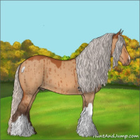 Horse Color:Silver Bay Dun Brindle 