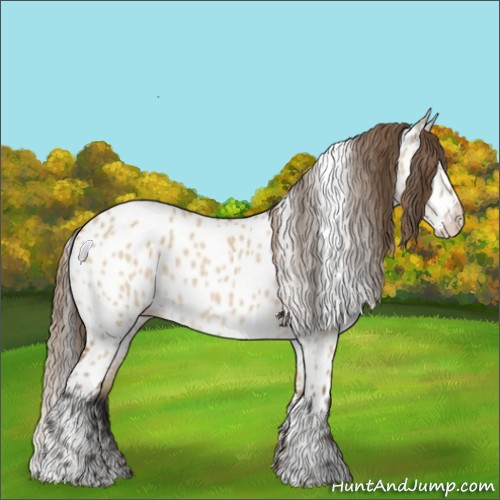 Horse Color:Bay Dun Appaloosa 