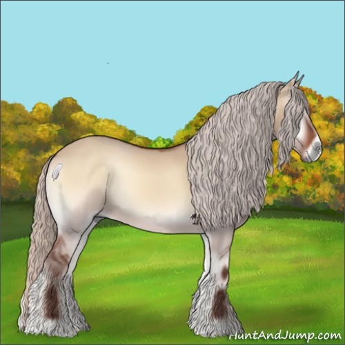 Horse Color:Silver Bay Onyx 