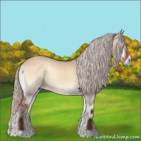 Horse Color:Silver Bay Onyx 