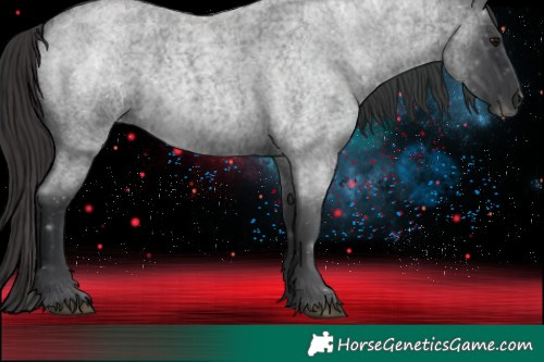 Horse Color:Blue Roan 