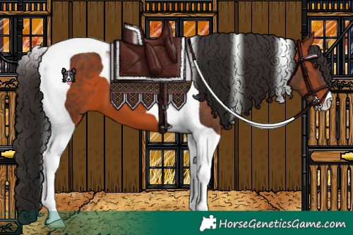 Horse Color:Bay Tobiano 