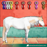 Horse Color:White Spotted Buckskin Pearl Tobiano Frame 