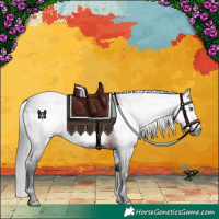 Horse Color:Gray White Spotted Brown Frame