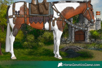 Horse Color:Brown Tobiano 