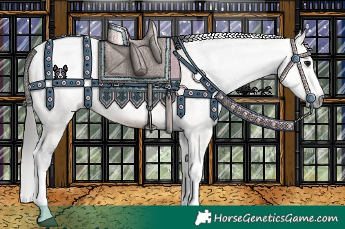 Horse Color:Gray Bay Dun Splash Tobiano Frame Rabicano