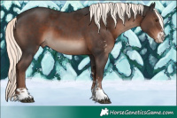 Horse Color:Liver Chestnut Mushroom Sabino 