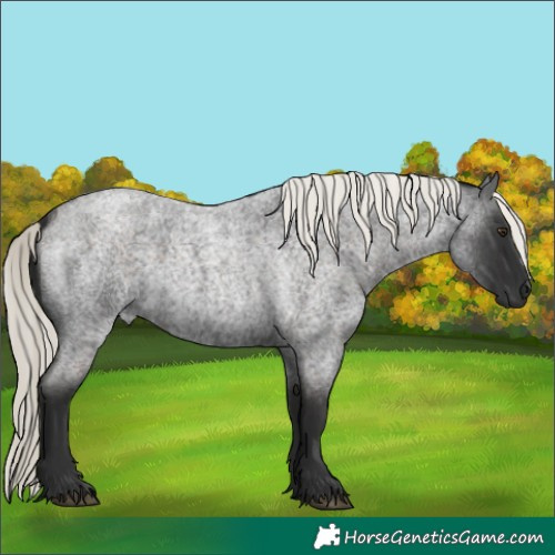 Horse Color:Liver Red Roan Mushroom 