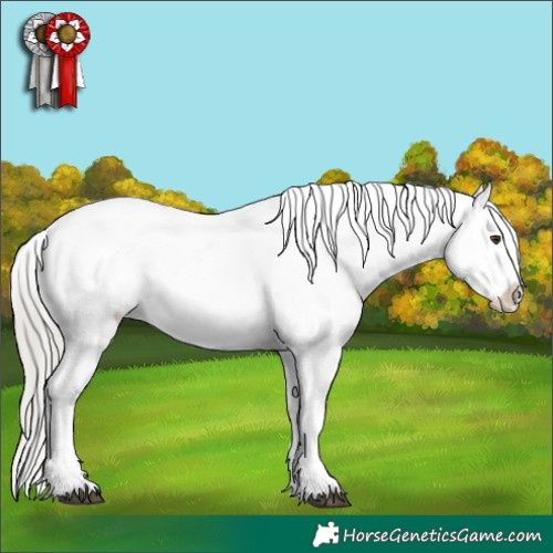 Horse Color:Liver Chestnut Mushroom Sabino Leopard