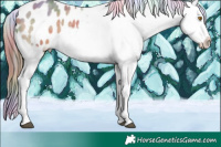 Horse Color:Nacre Bay Dun Sabino Blanket 