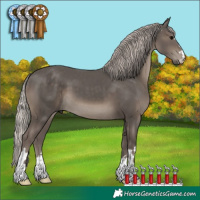 Horse Color:Silver Black 