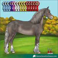 Horse Color:Silver Black 