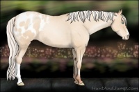 Horse Color:Silver Sable Cream Champagne Pearl Appaloosa 