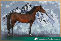Horse Color:Gray Bay