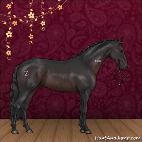 Horse Color:Brown 