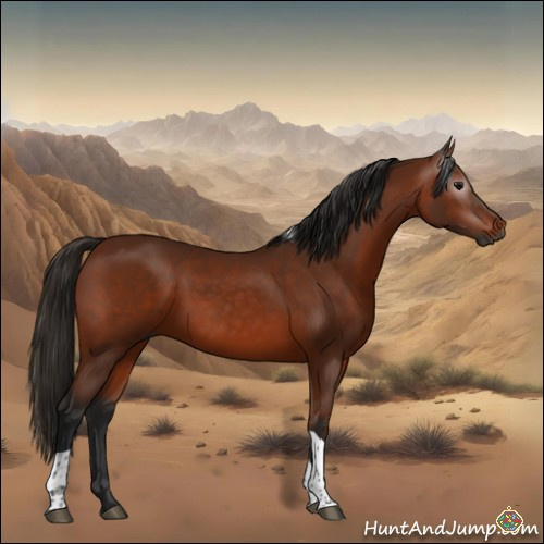 Horse Color:Gray Bay Tobiano