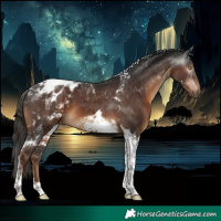Horse Color:Gray Liver Chestnut Tobiano Blanket 