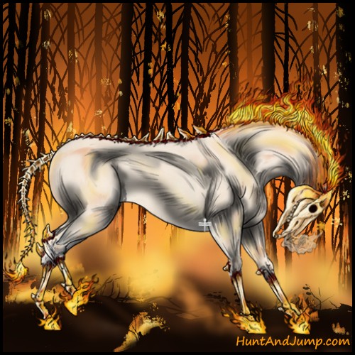 Horse Color:Cremello 