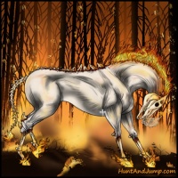 Horse Color:Cremello 