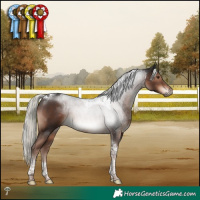 Horse Color:Liver Chestnut Mushroom Tobiano 