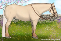 Horse Color:Silver Amber Champagne Dun