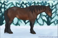 Horse Color:Brown 