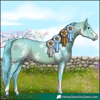 Horse Color:Watercolor Bay Ice 