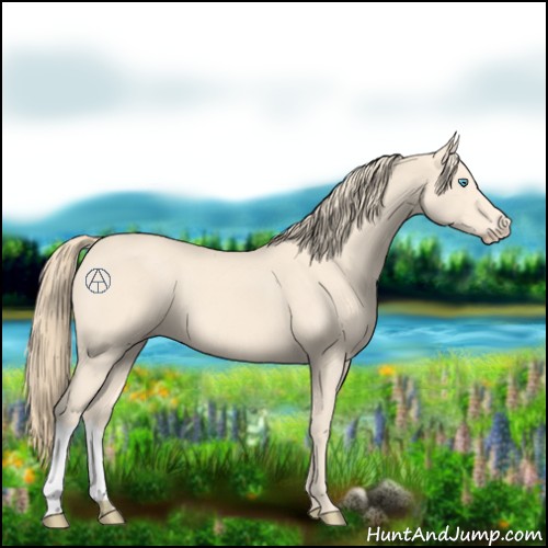 Horse Color:Perlino 