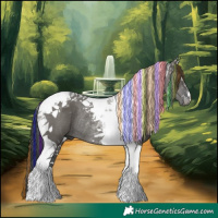 Horse Color:Painted Grullo Tobiano Rabicano 