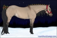 Horse Color:Brown Dun 