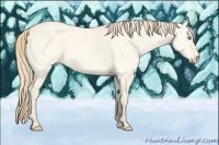 Horse Color:Perlino Dun