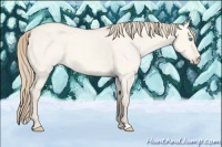 Horse Color:Perlino Dun
