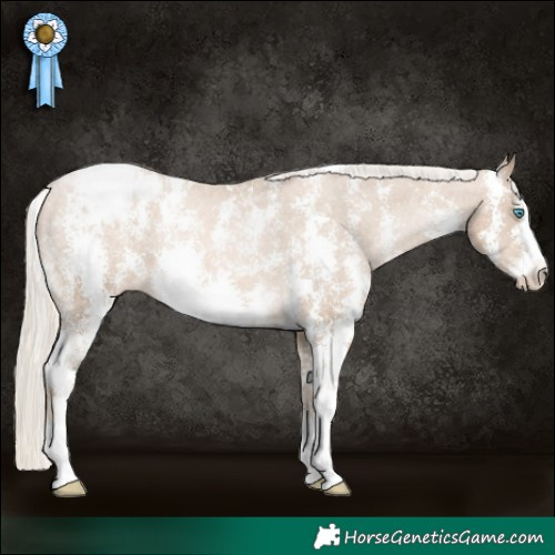 Horse Color:Chocolate Palomino Pearl Sabino Appaloosa Rabicano 