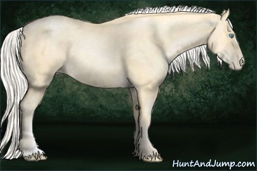 Horse Color:Silver Buckskin Pearl 