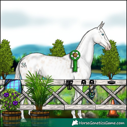 Horse Color:Gray Silver Amber Champagne Roan Pearl Dun Tobiano Appaloosa 