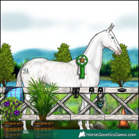 Horse Color:Gray Silver Amber Champagne Roan Pearl Dun Tobiano Appaloosa