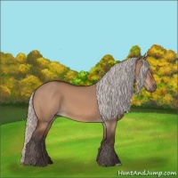 Horse Color:Silver Bay Dun