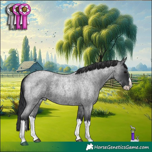 Horse Color:Blue Roan Splash 