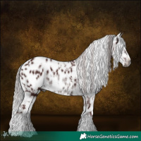 Horse Color:Gray Platinum White Spotted Chocolate Silver Brown Tobiano Appaloosa 