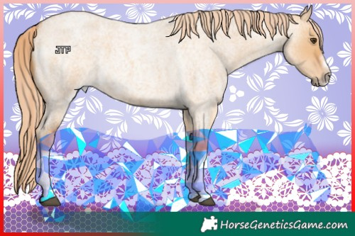 Horse Color:Red Dun Roan Splash Frame Rabicano 