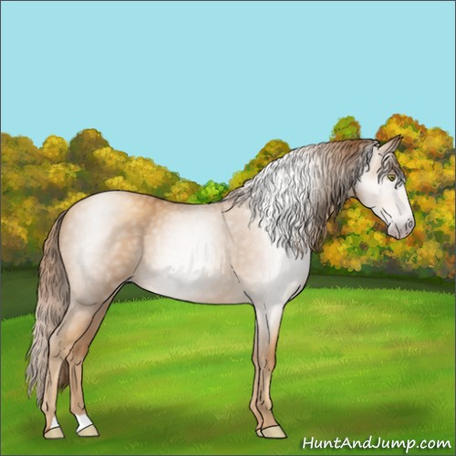 Horse Color:Gray Gold Champagne 