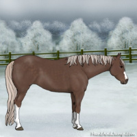 Horse Color:Silver Black 