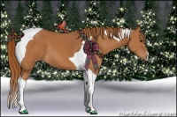 Horse Color:Chestnut Tobiano 